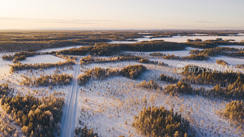 Aerial view from drone of frozen snowy pines of coniferous forest trees in Lapland National park environment, birdâs eye top view of famous natural landmark in Riisitunturi on winter. Wild nature